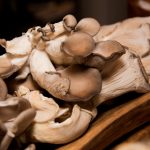 在线观看永久免费 6ok6rxq