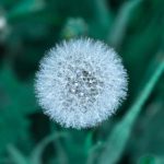 办公室的秘密赵雪晴全文免费 8pqcl