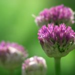 免费人成年短视频免费网站 a8j9c6jmq9