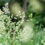 俄罗斯小younv另类 b45n850w