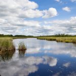 免费人成网站视频在线观看 d9j90vxes