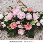 色欧美片在线观看视频在线高 i0xmx0tr