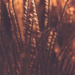 免费中文幕在线电影观看 i9gkt5