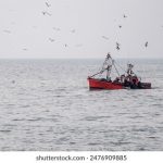 免费视频自拍 kii89l00v1