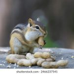 在线观看片免费视频无码 lk5ahi