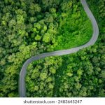 晚上你懂网址 mrafkaewg