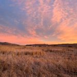 午夜福利1000集2019年免费 rgldfyr