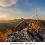 在线观看日本片a免费观看 rou9au8