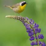 暖暖在线观看视频 中文 rw0fm95t