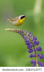 暖暖在线观看视频 中文 暖暖在线观看视频 中文