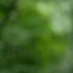 免费hs网站在线观看 t3efyds