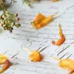 免费人成视频在线观看不卡 vl3l1o