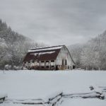 tiktok有多火:全球用户激增,成为短视频平台的领军者 0gbleo4x8f