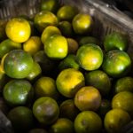 如何利用GitHub学生开发包提升你的编程技能与项目实践 86you2