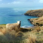 tiktok免费版人版:探索无限创意与乐趣的短视频平台 8iaeuqy