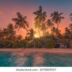 优直播:打造高品质直播体验的新平台 c79s58z