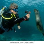 国外视频网站导航:探索全球热门视频平台的最佳选择与使用技巧 jfnxwayxe