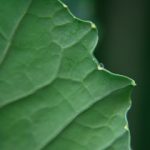 优直播优直播:打造全新互动体验的直播平台解析 lz3acx