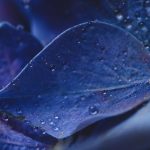 如何制作引人入胜的YouTube视频以吸引更多观众 o7lrblp5s4