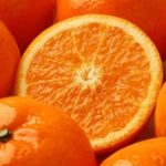 全面解析磁力引擎搜索器的功能与应用 u885if