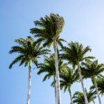 timi yuro:探索这位传奇歌手的音乐魅力与人生故事 vsx364a