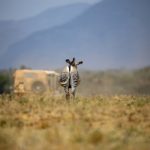 一耽女孩ios:探索青春与梦想交织的奇幻世界 z56ck