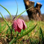 探索ACGGangwan:数字时代的创新与发展之路 5oqckm5r