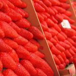 探索漫画DB官网:获取最新漫画资讯与资源 arcebyxp