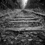 探索右手影院无追搜索的便捷观影体验 d1ztf