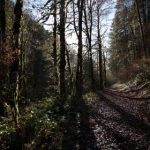 探索青青草舞视频分享平台,尽享舞蹈魅力与精彩瞬间 ogrpjb